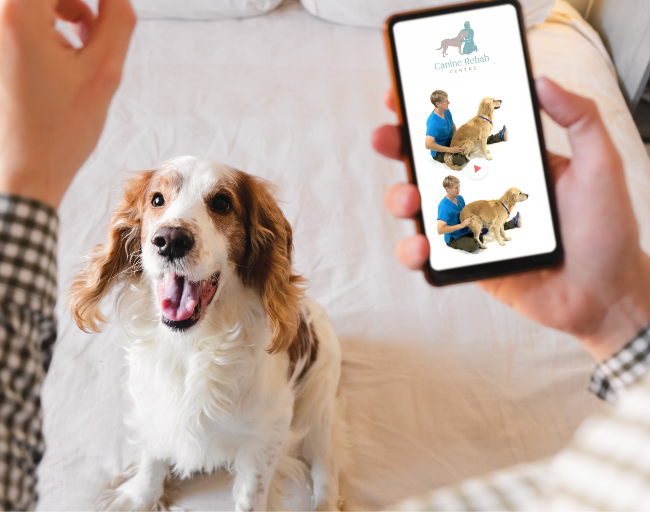 _Exercise plan image