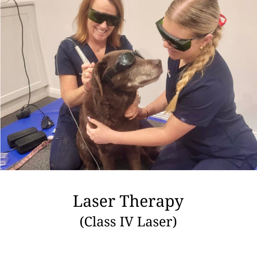 Laser Therapy