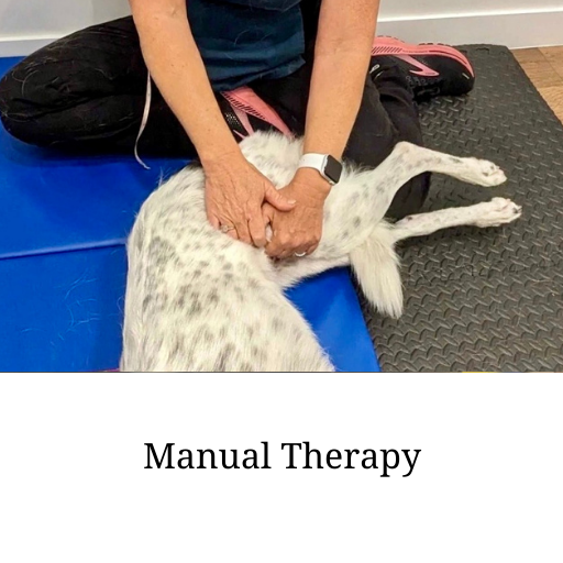 Manual therapy (1)