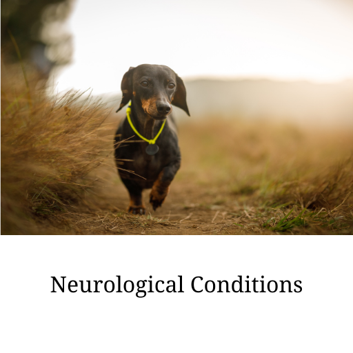 Neuro conditions