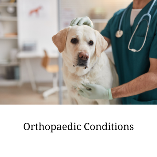 Ortho conditions
