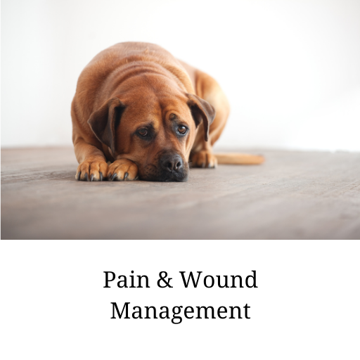 Pain Management
