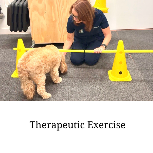 Therapeutic Exercise Therapeutic Exercises